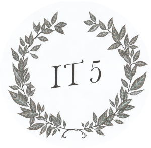 IT5Web Logo